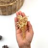 Baby’s Breath Dried Flower (Set Of 5)