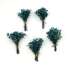 Baby’s Breath Dried Flower (Set Of 5)