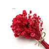 Baby’s Breath Dried Flower (Set Of 5)