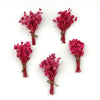 Baby’s Breath Dried Flower (Set Of 5)