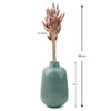 Bunny Tail Dry Flowers For Home Decor