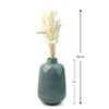 Bunny Tail Dry Flowers For Home Decor