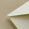STD Envelope (Set of 5)