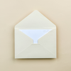 STD Envelope (Set of 5)