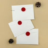 Polar White (Set of 5)