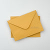 STD Envelope (Set of 5)