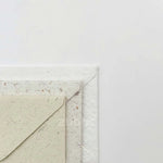 Shade of Dove (Set of 3)