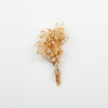 Baby’s Breath Dried Flower (Set Of 5)