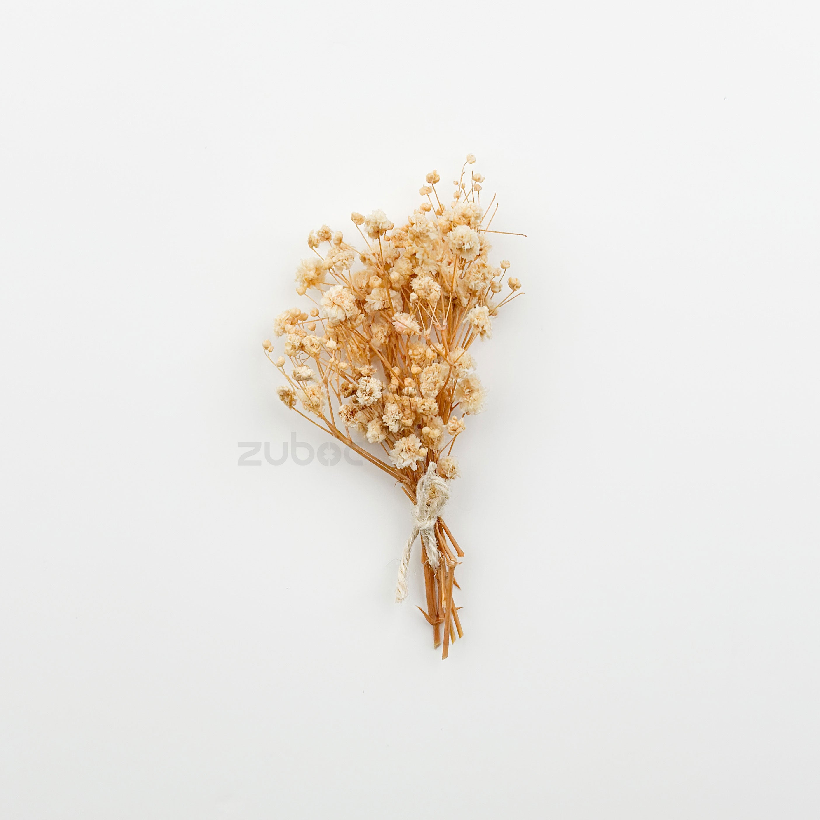 Baby’s Breath Dried Flower (Set Of 5)