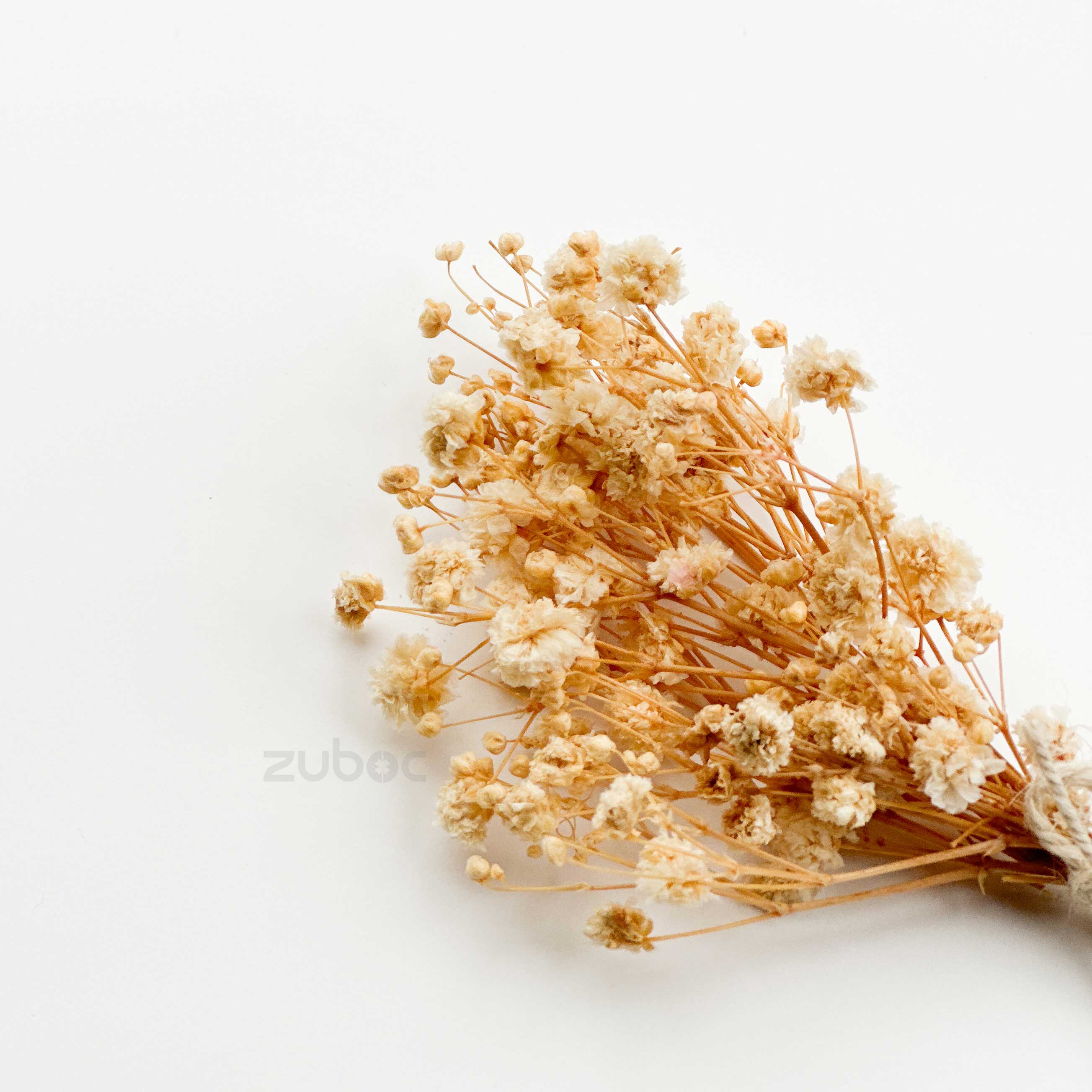 Baby’s Breath Dried Flower (Set Of 5)