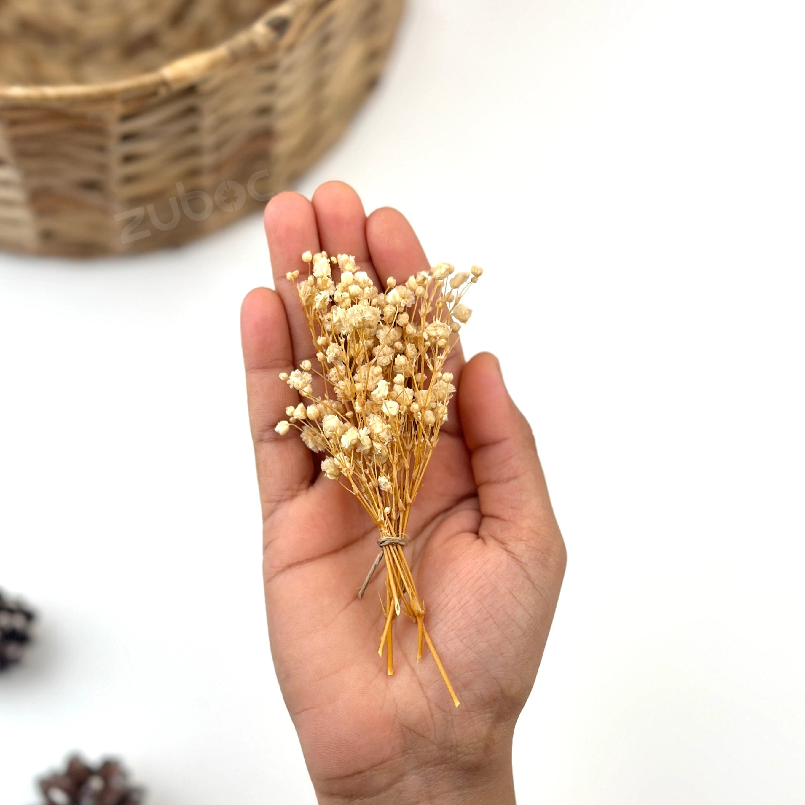 Baby’s Breath Dried Flower (Set Of 5)