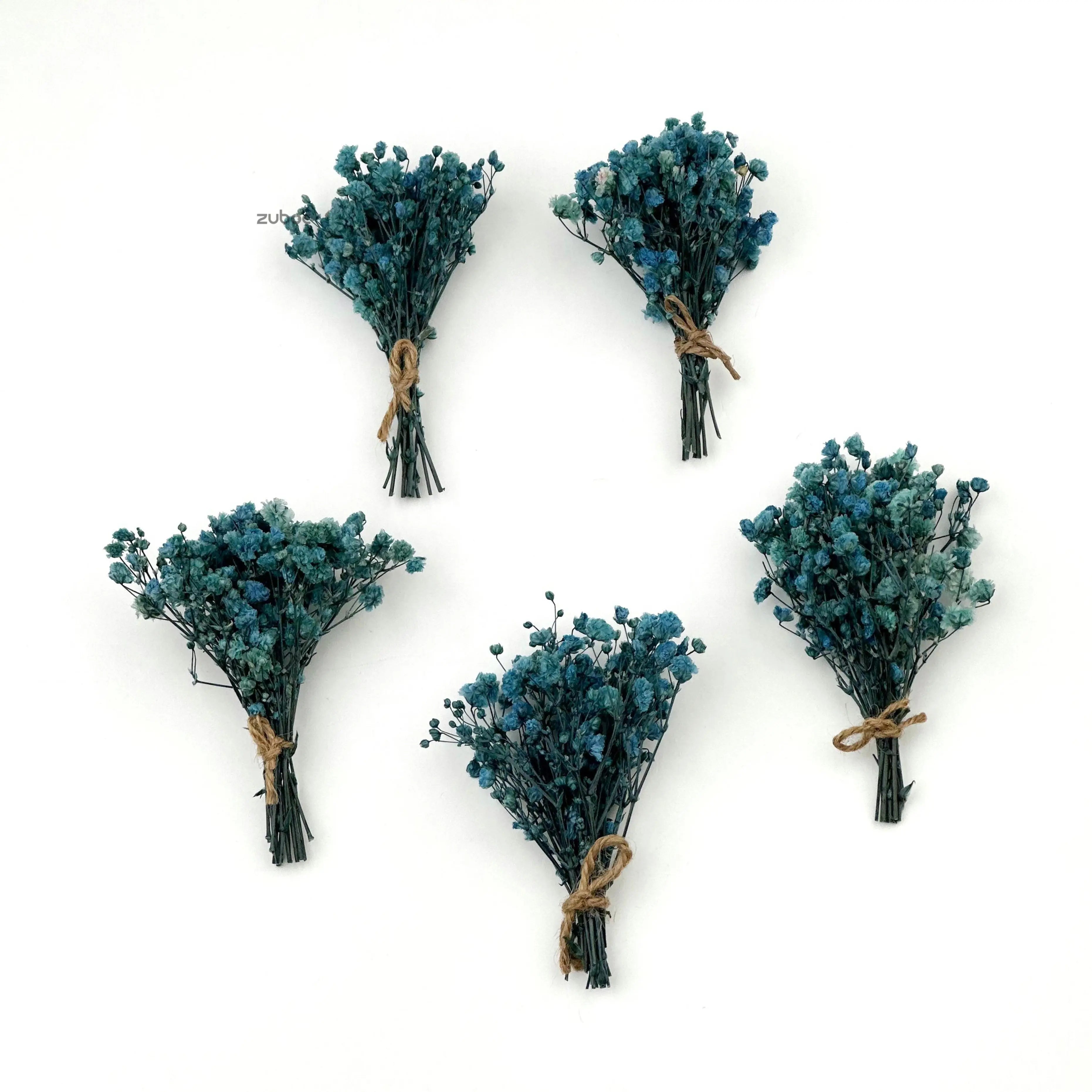 Blue and green dry flower long top-down view for scrapbooking