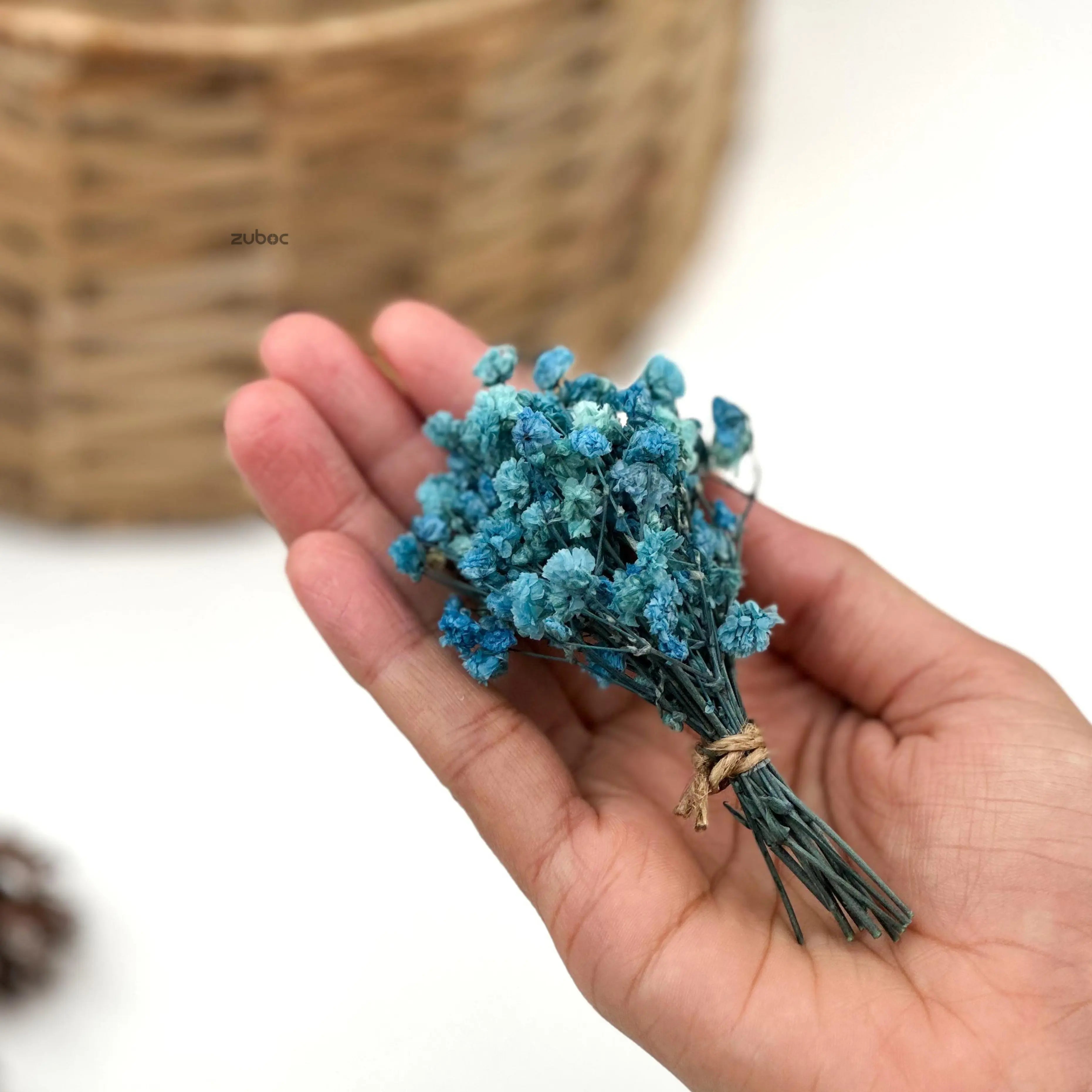 Blue dry flower short close-up for handmade cards