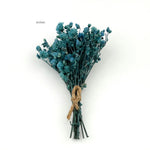 Baby’s Breath Dried Flower (Set Of 5)