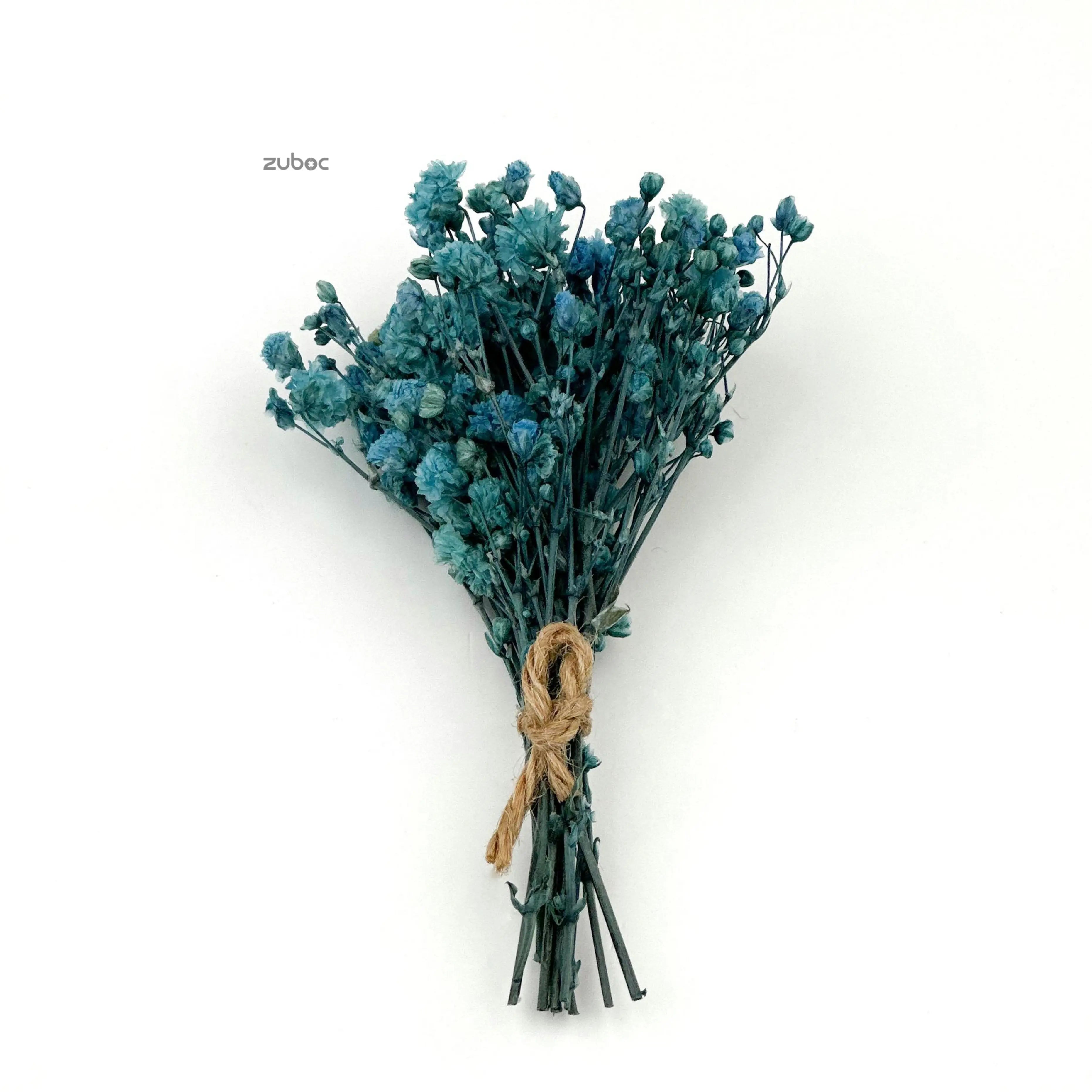 Teal blue dry flower long front view for DIY projects