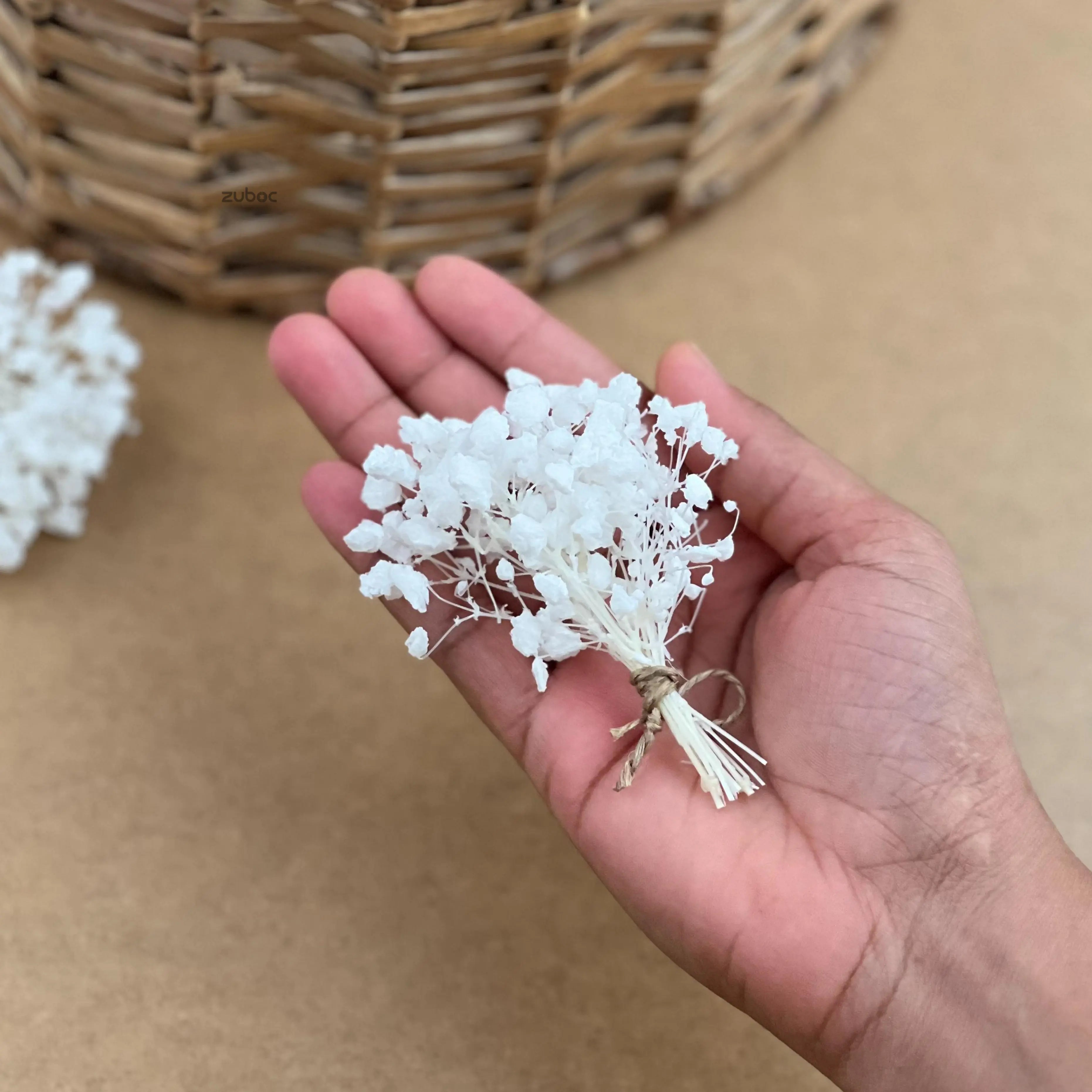 White dry flower short close-up for DIY projects