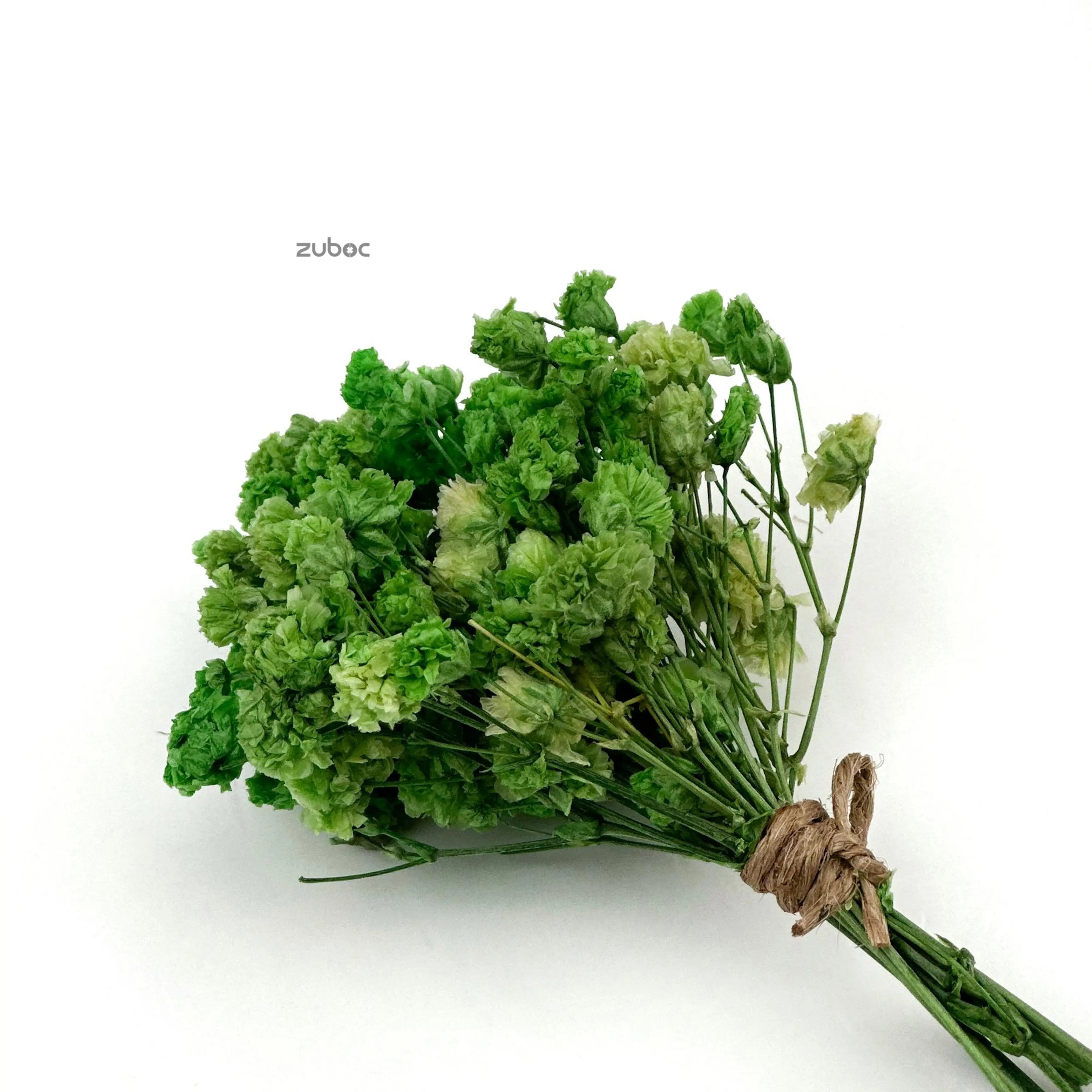 Green dry flower long close-up side view for wedding crafts