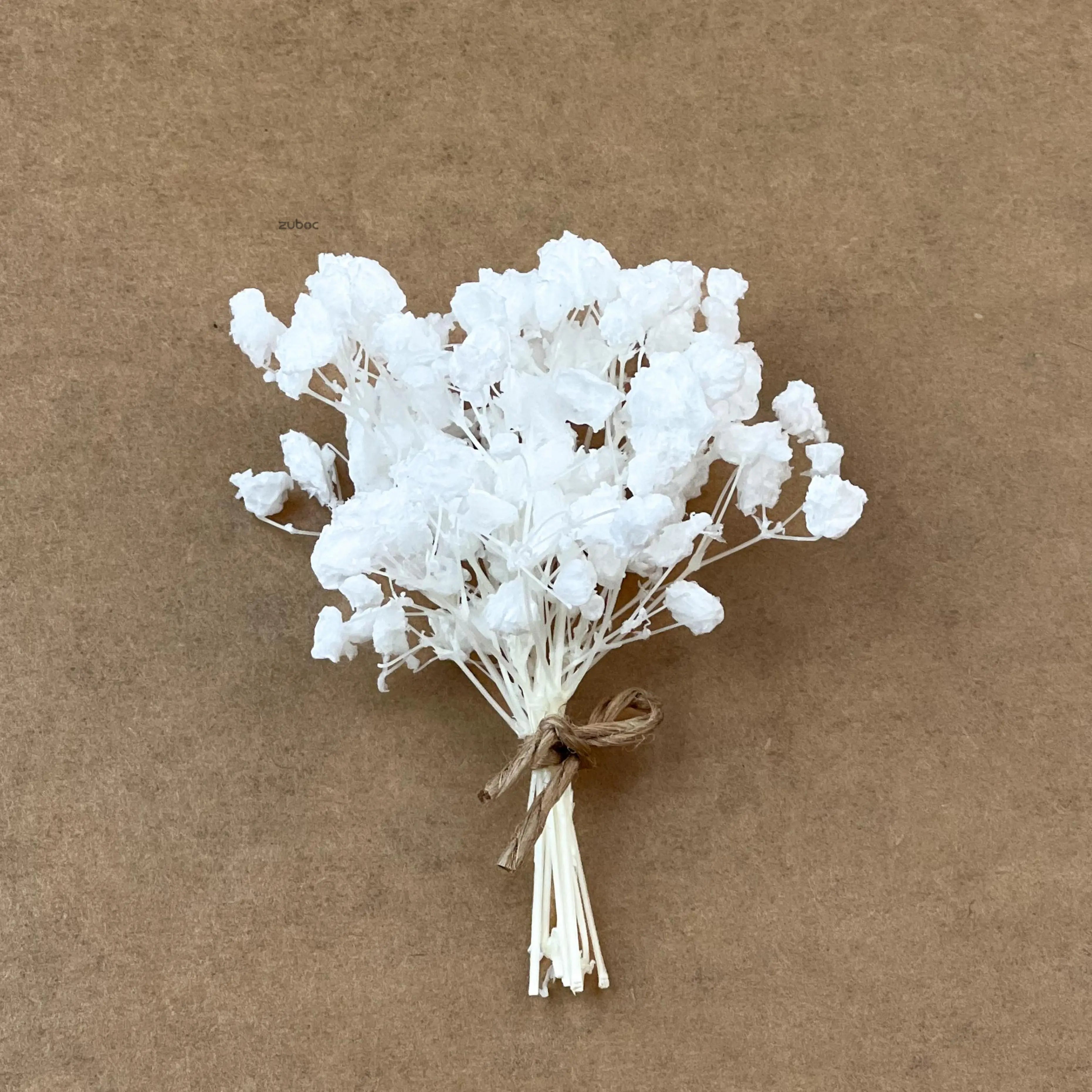White dry flower short top-down view for party crafts