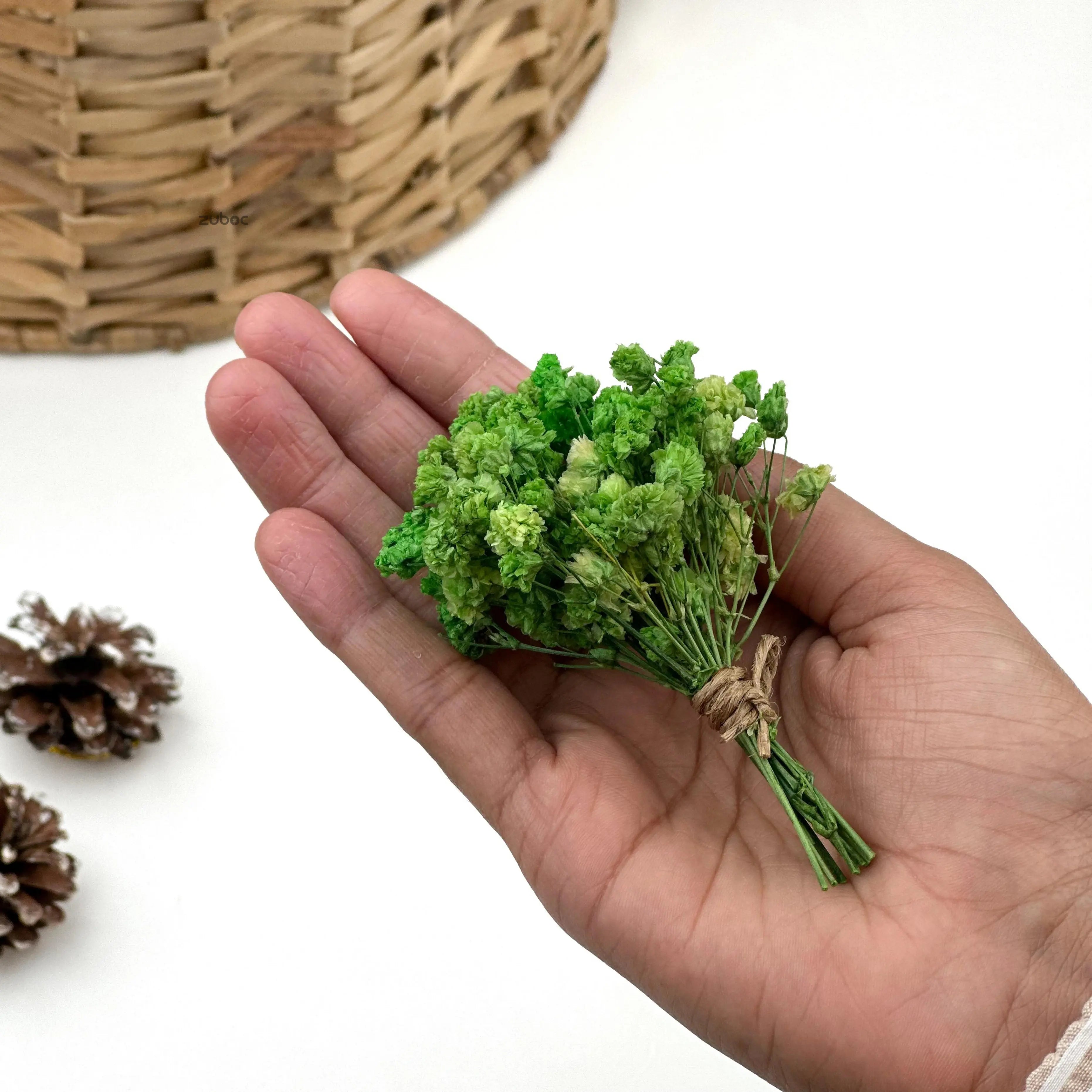 Bright green dry flower short close-up for personalized gifts