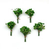 Baby’s Breath Dried Flower (Set Of 5)