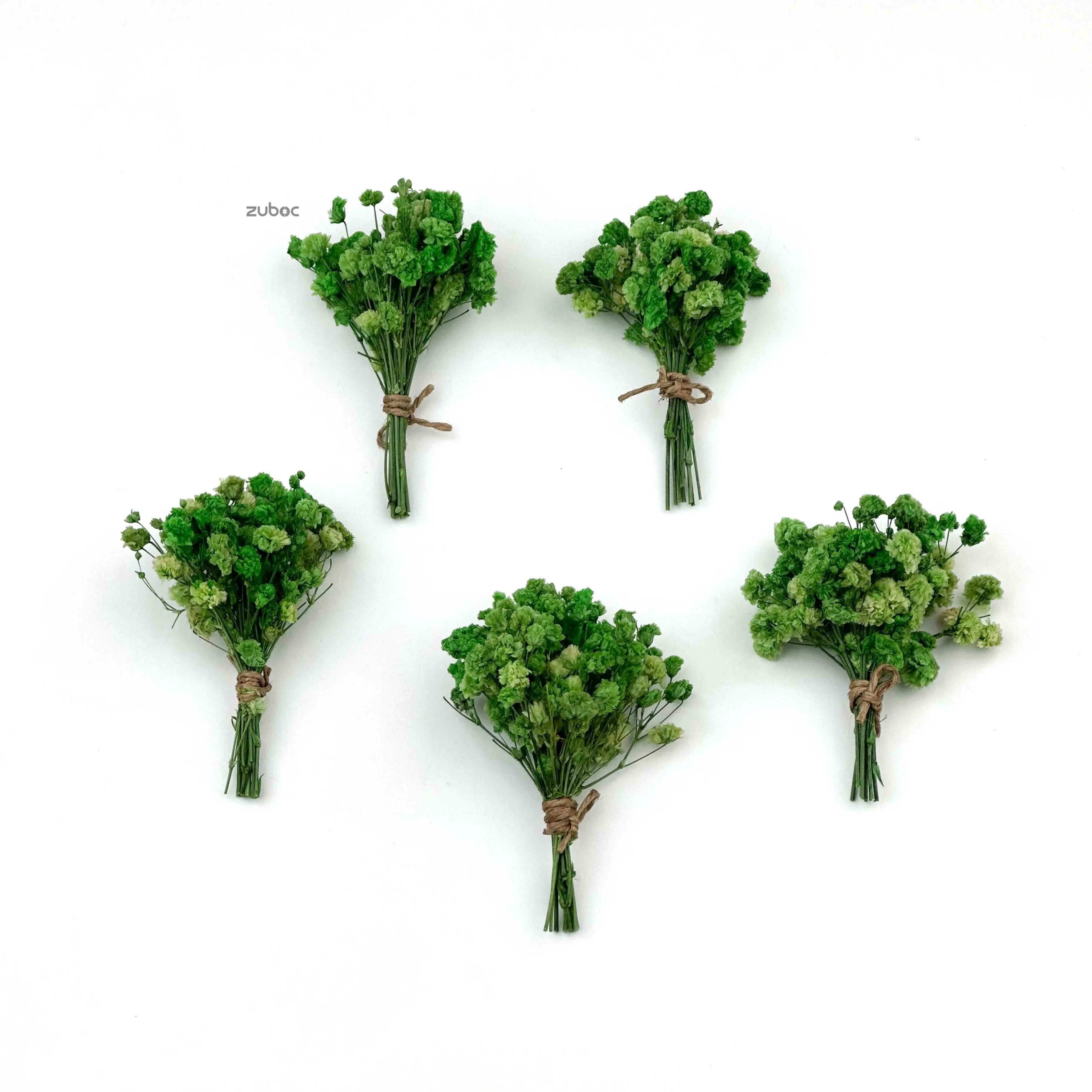 Green dry flower short top-down view for party crafts