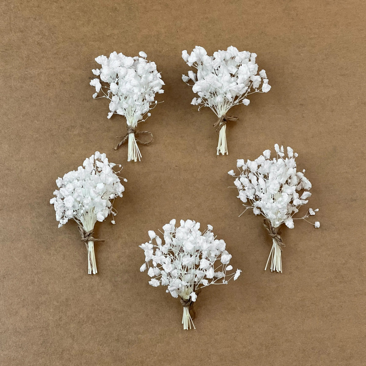 Baby’s Breath Dried Flower (Set Of 5)
