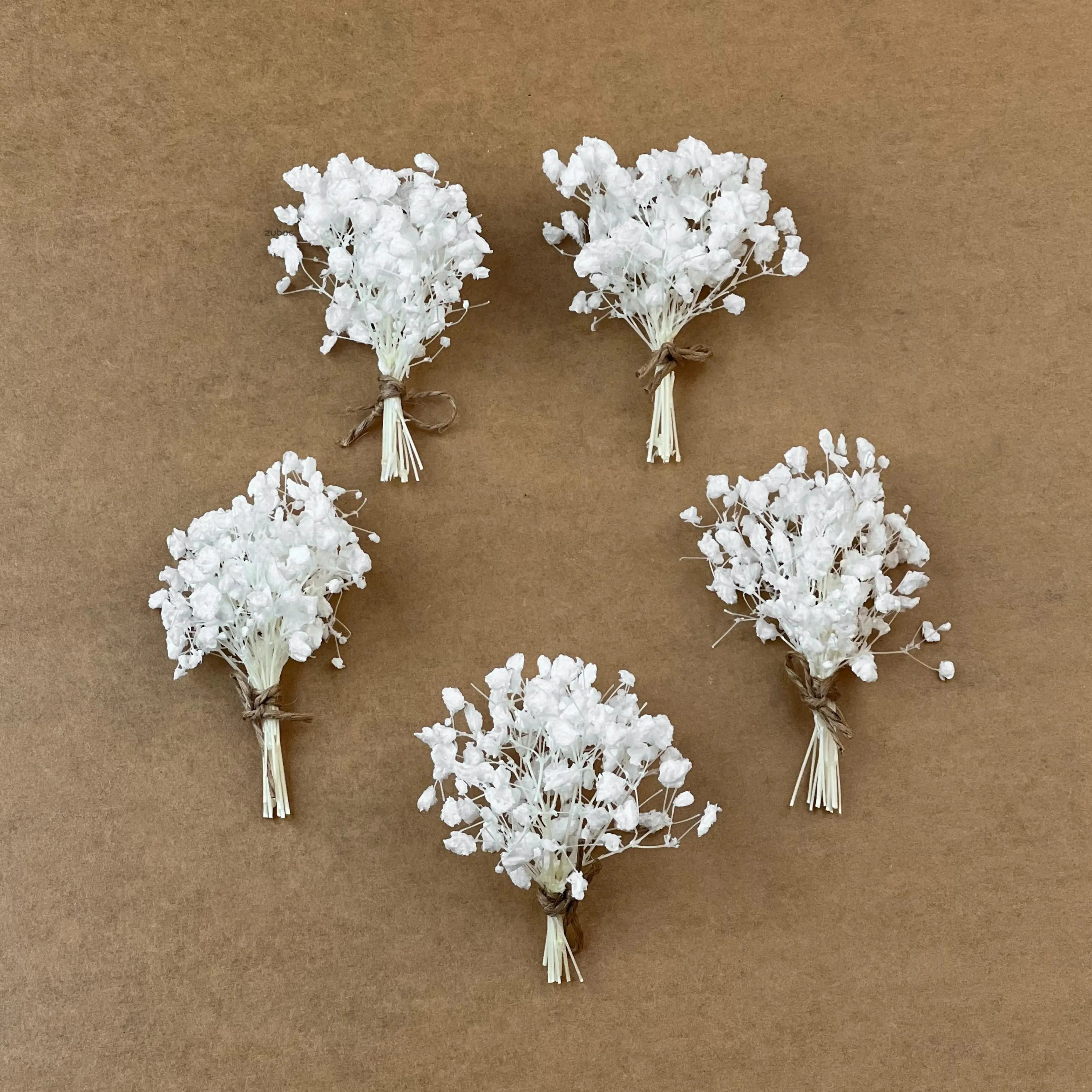 White dry flower short top-down view for handmade cards