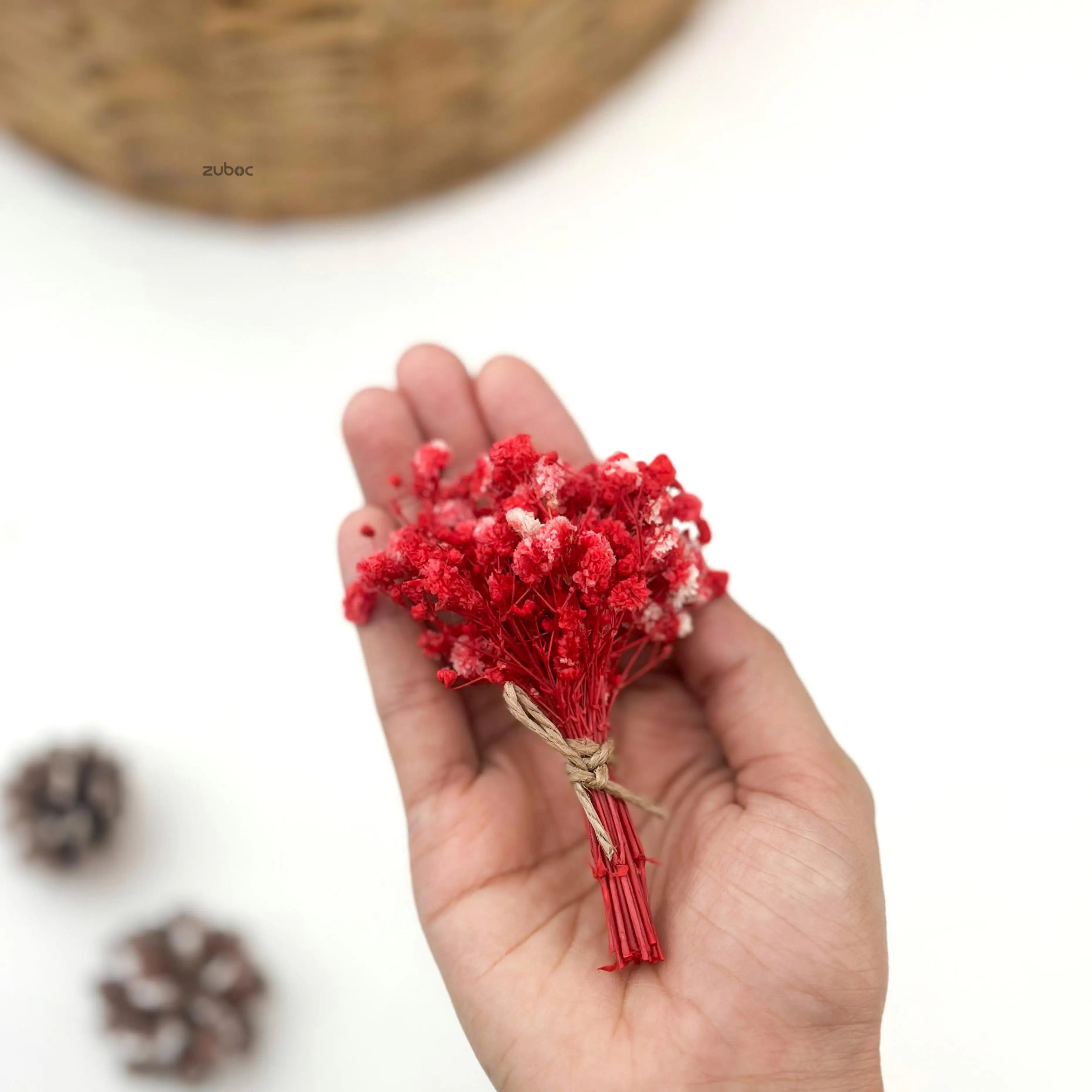Bright red dry flower short lifestyle close-up for wedding crafts