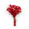 Baby’s Breath Dried Flower (Set Of 5)