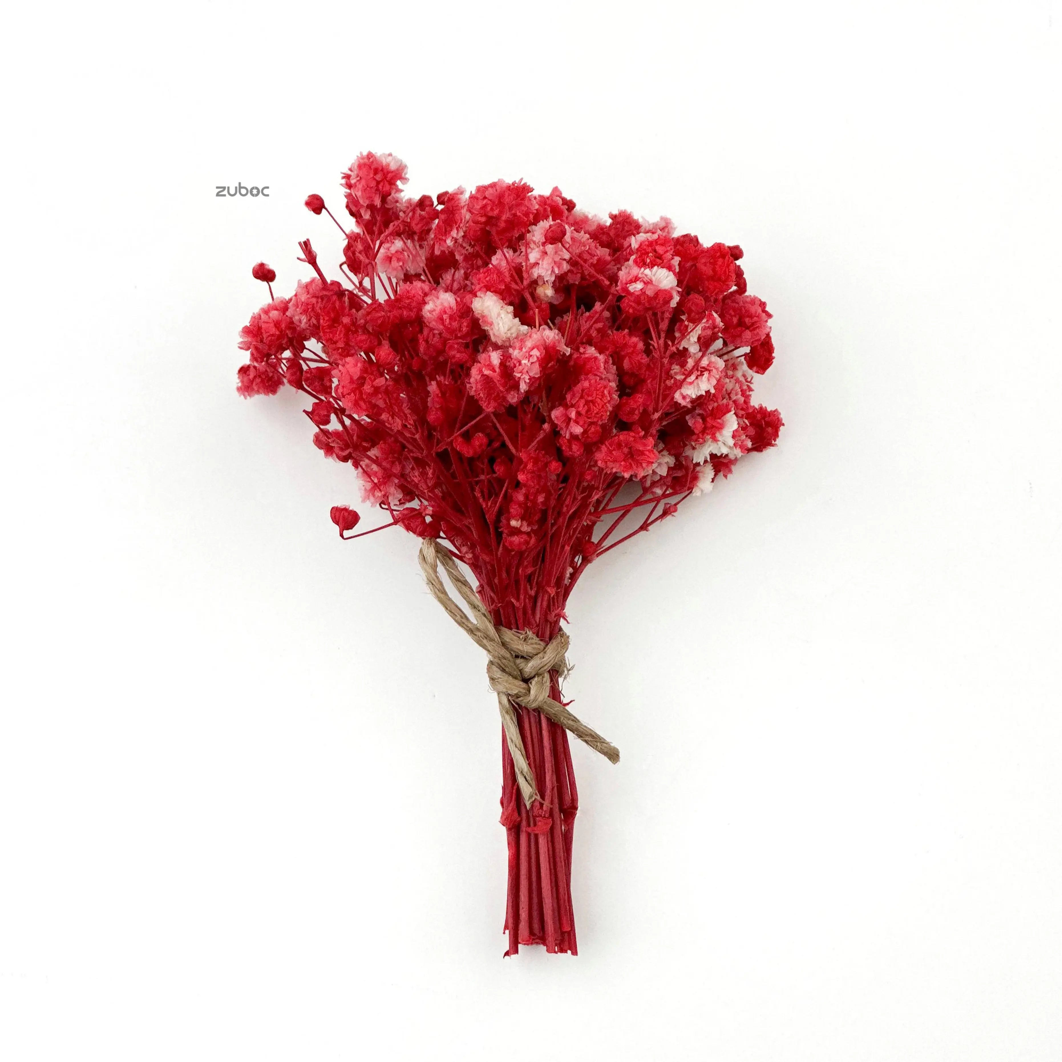 Bright red dry flower long front view for scrapbooking