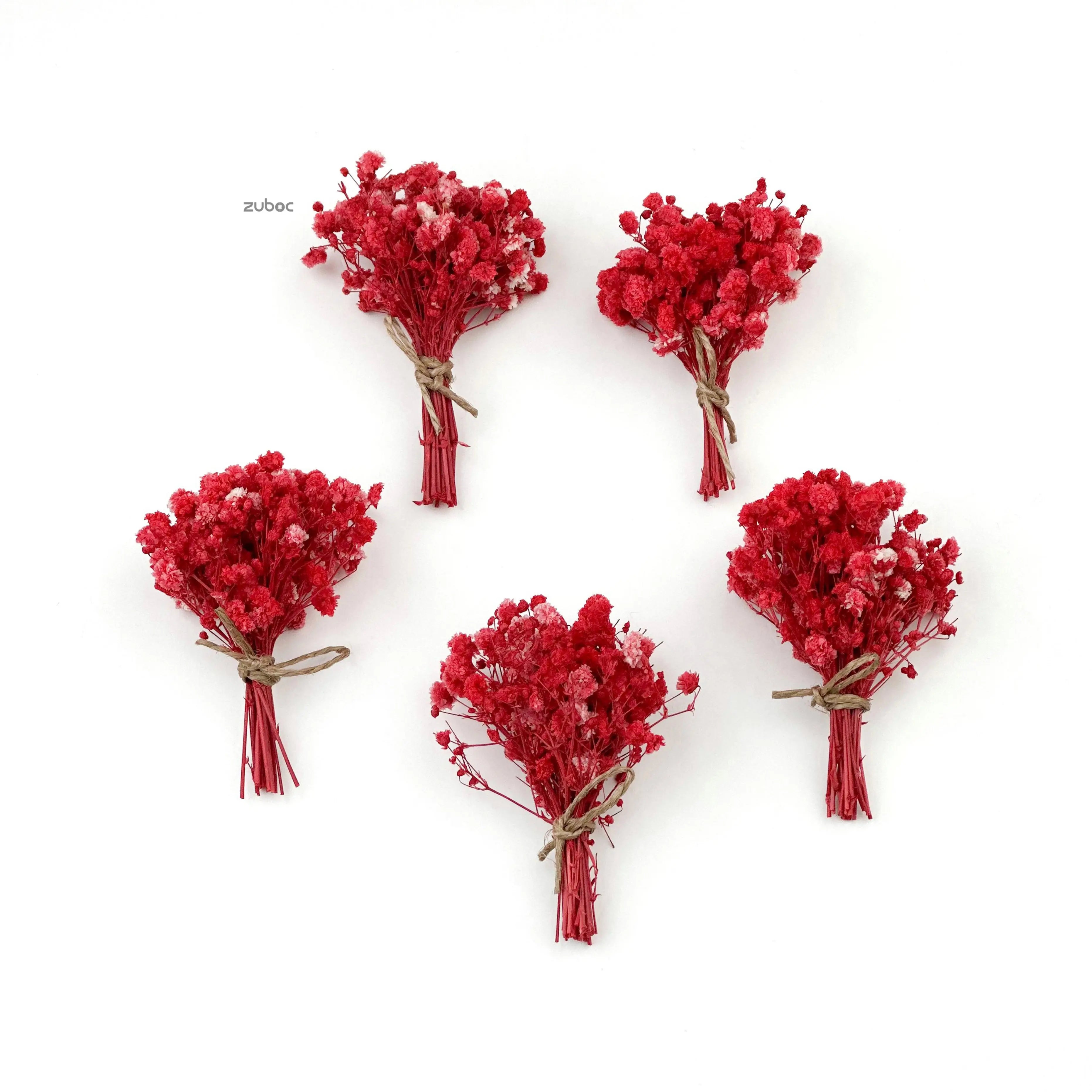 Bright red dry flower short top-down view for creative hobbies