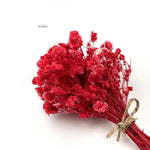 Baby’s Breath Dried Flower (Set Of 5)