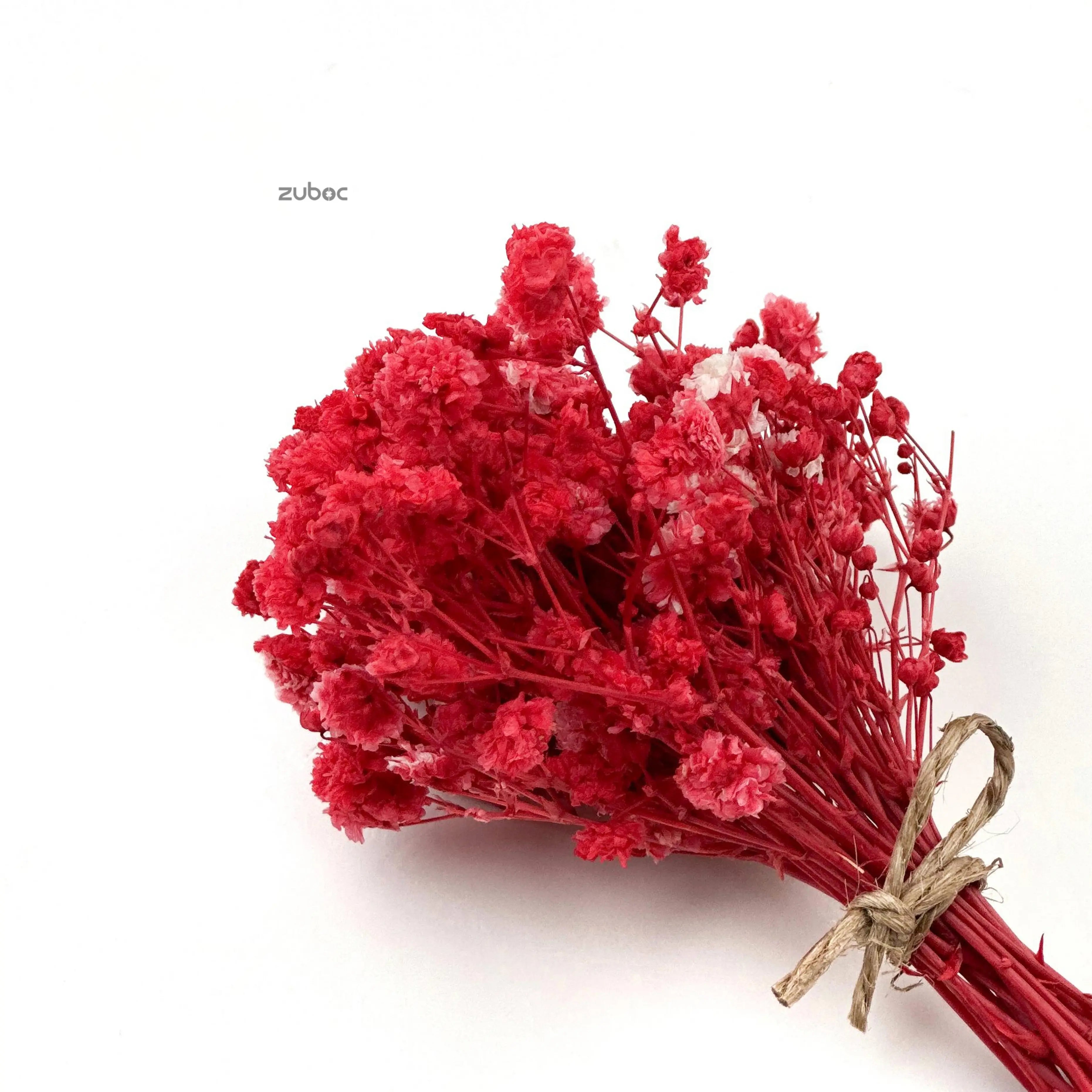 Red dry flower long side view for DIY projects