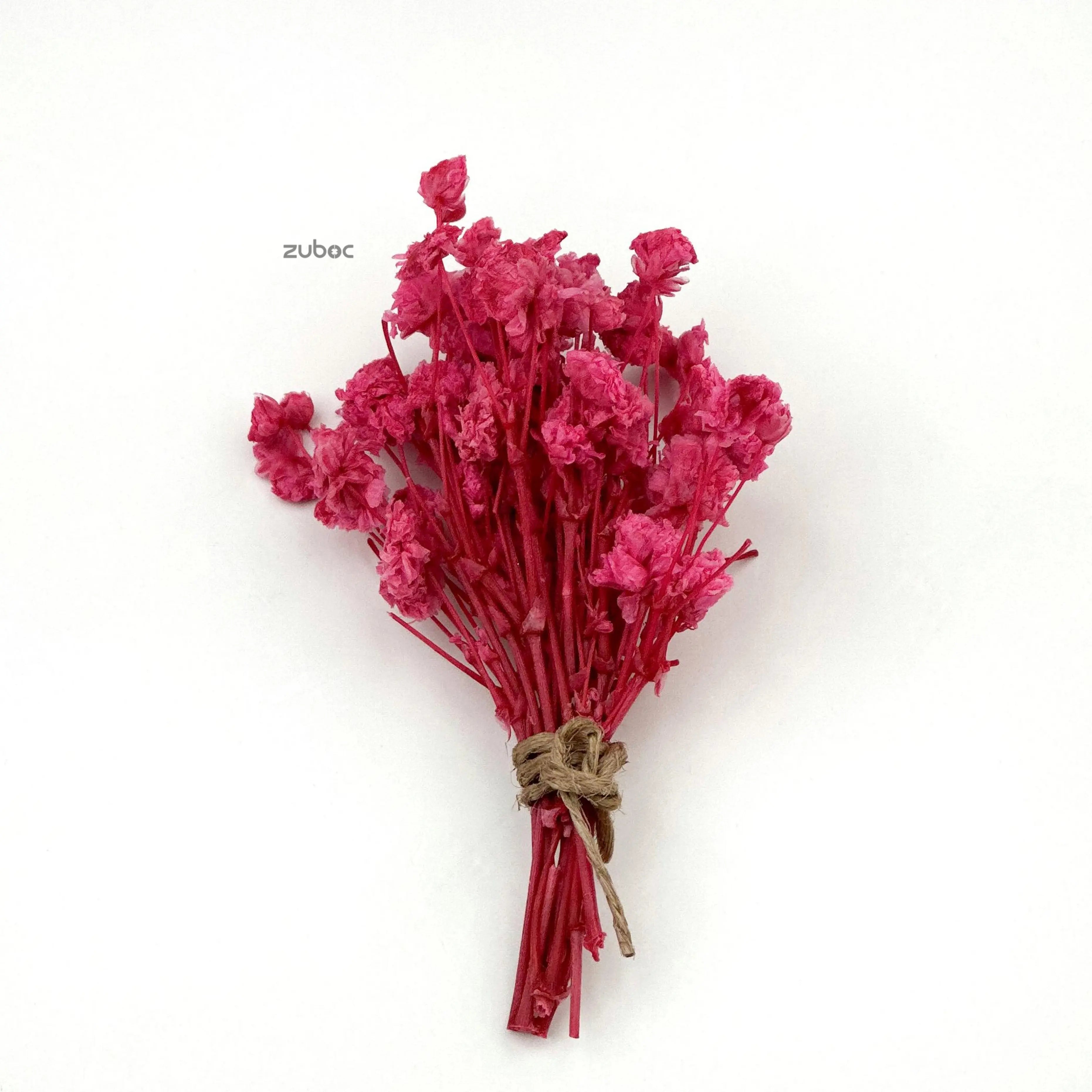 Vibrant pink dry flower long front view for party crafts