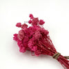 Baby’s Breath Dried Flower (Set Of 5)