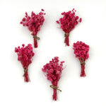 Baby’s Breath Dried Flower (Set Of 5)