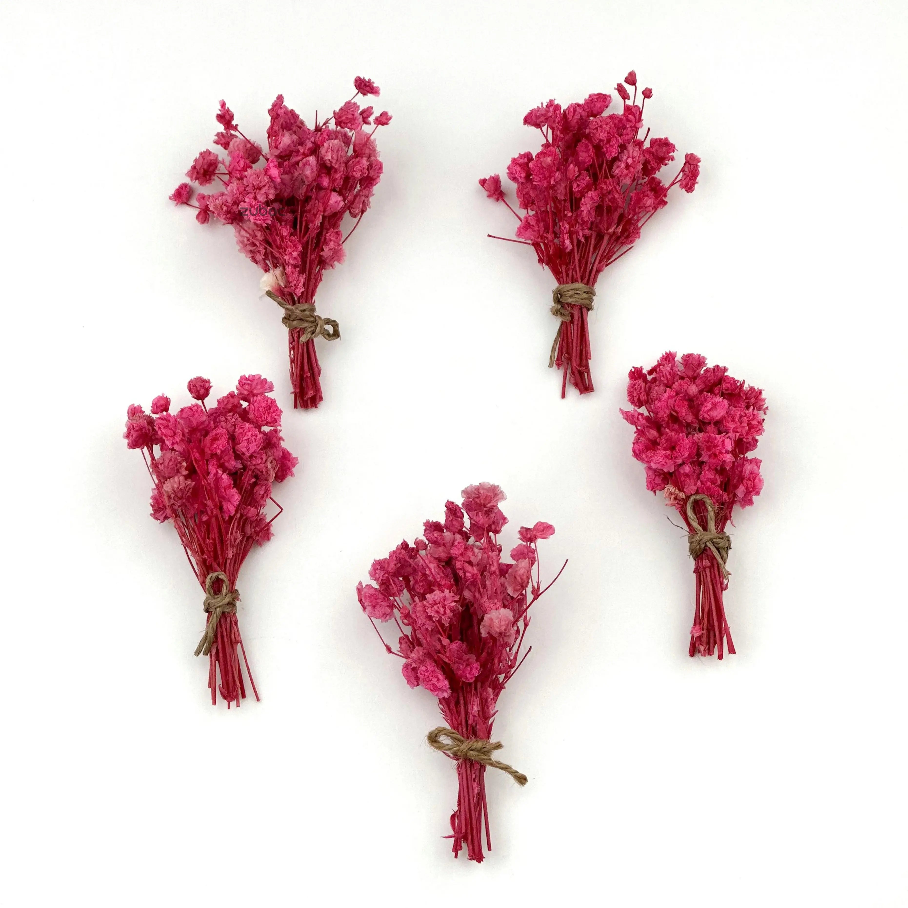 Bright pink dry flower short top-down view for DIY projects