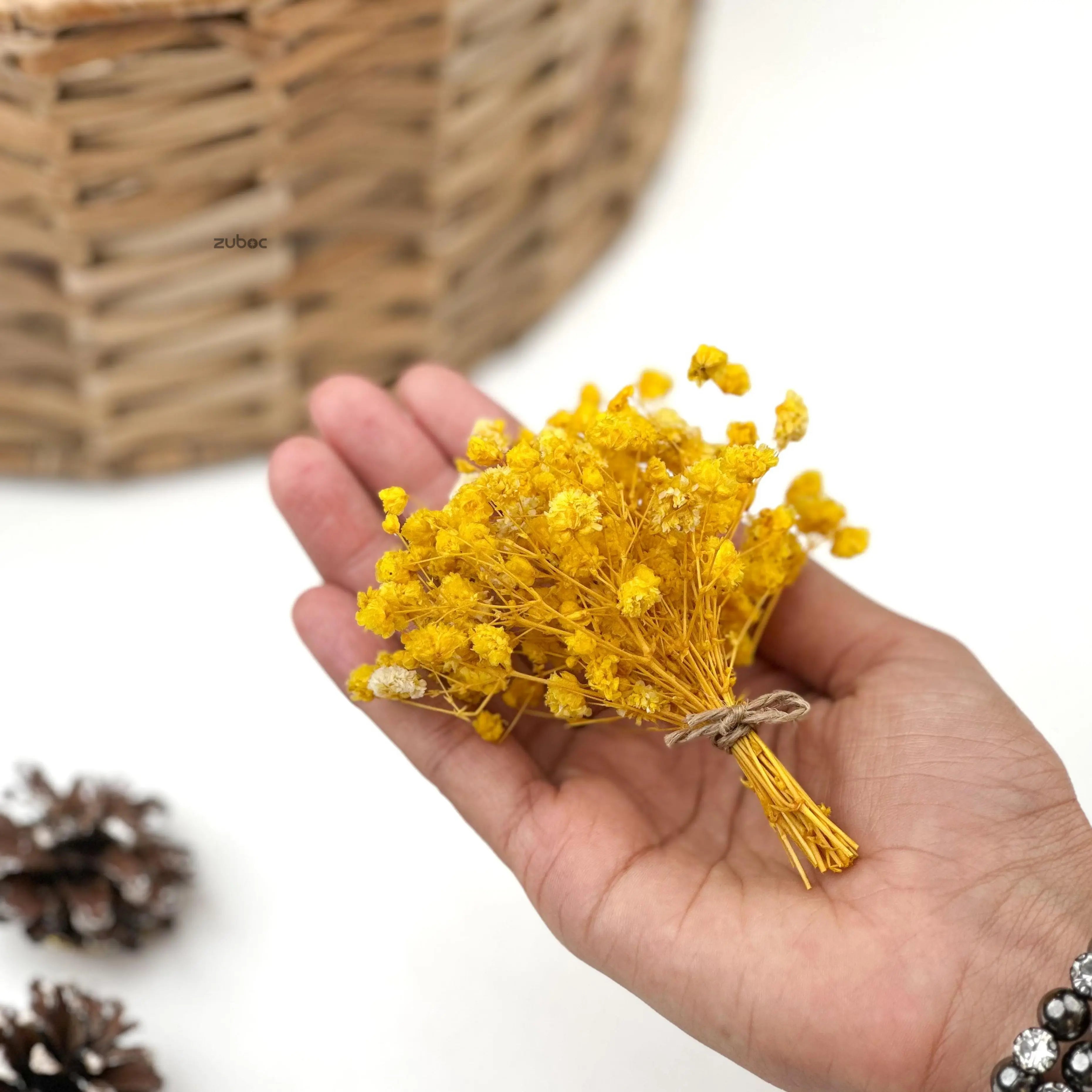 Yellow dry flower short close-up for creative hobbies