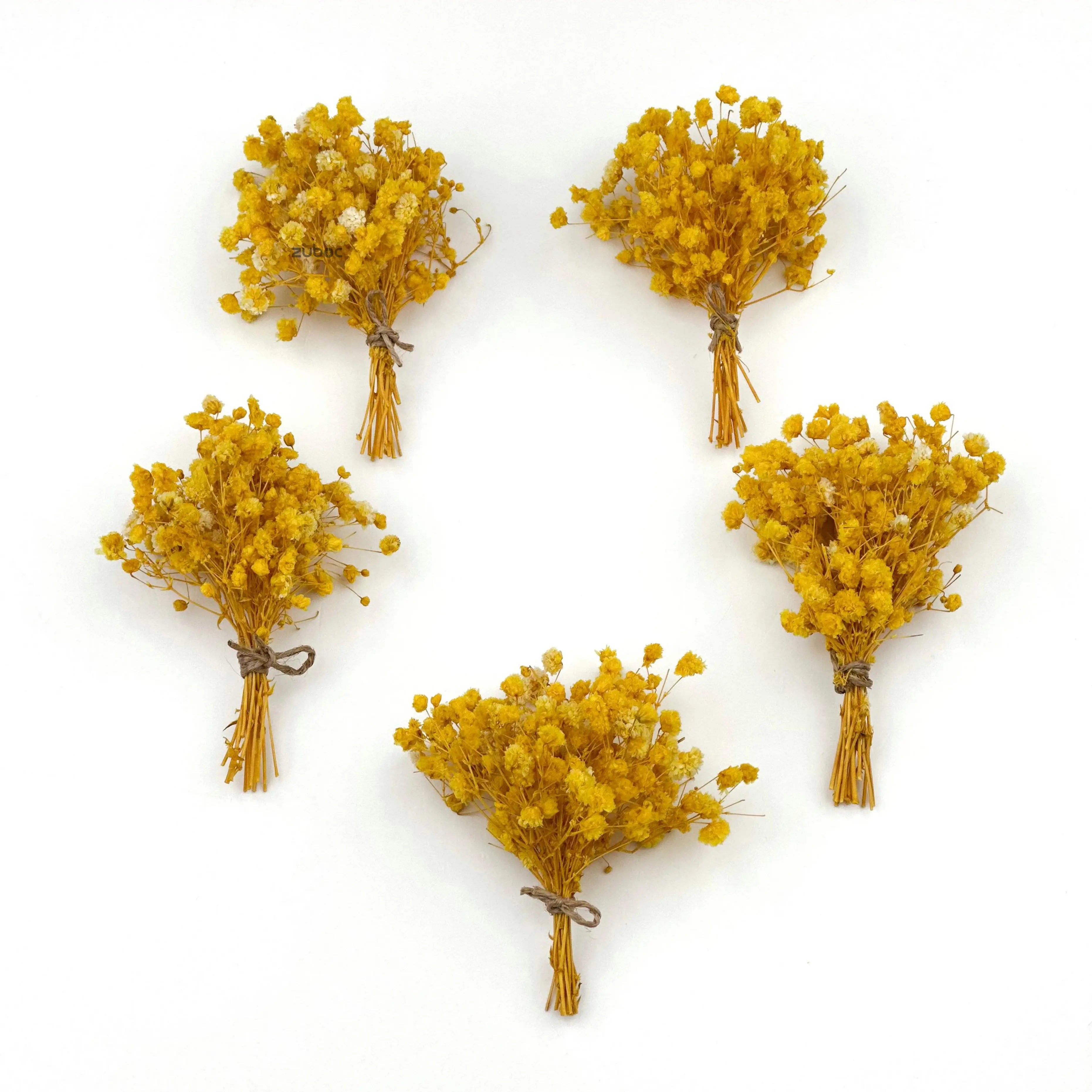 Bright yellow dry flower short top-down view for art projects