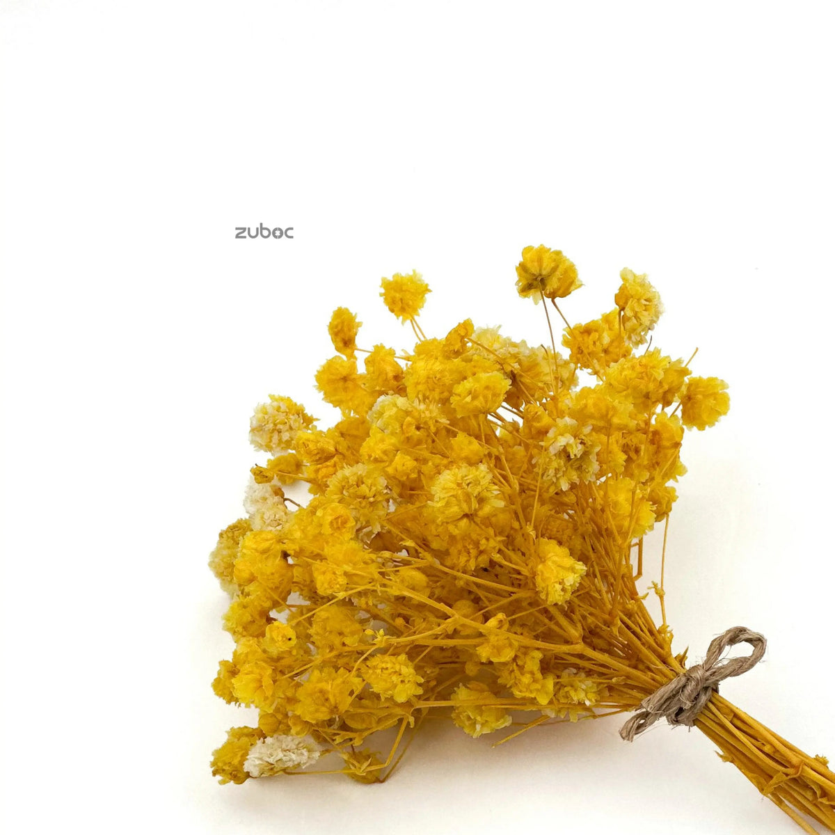 Baby’s Breath Dried Flower (Set Of 5)