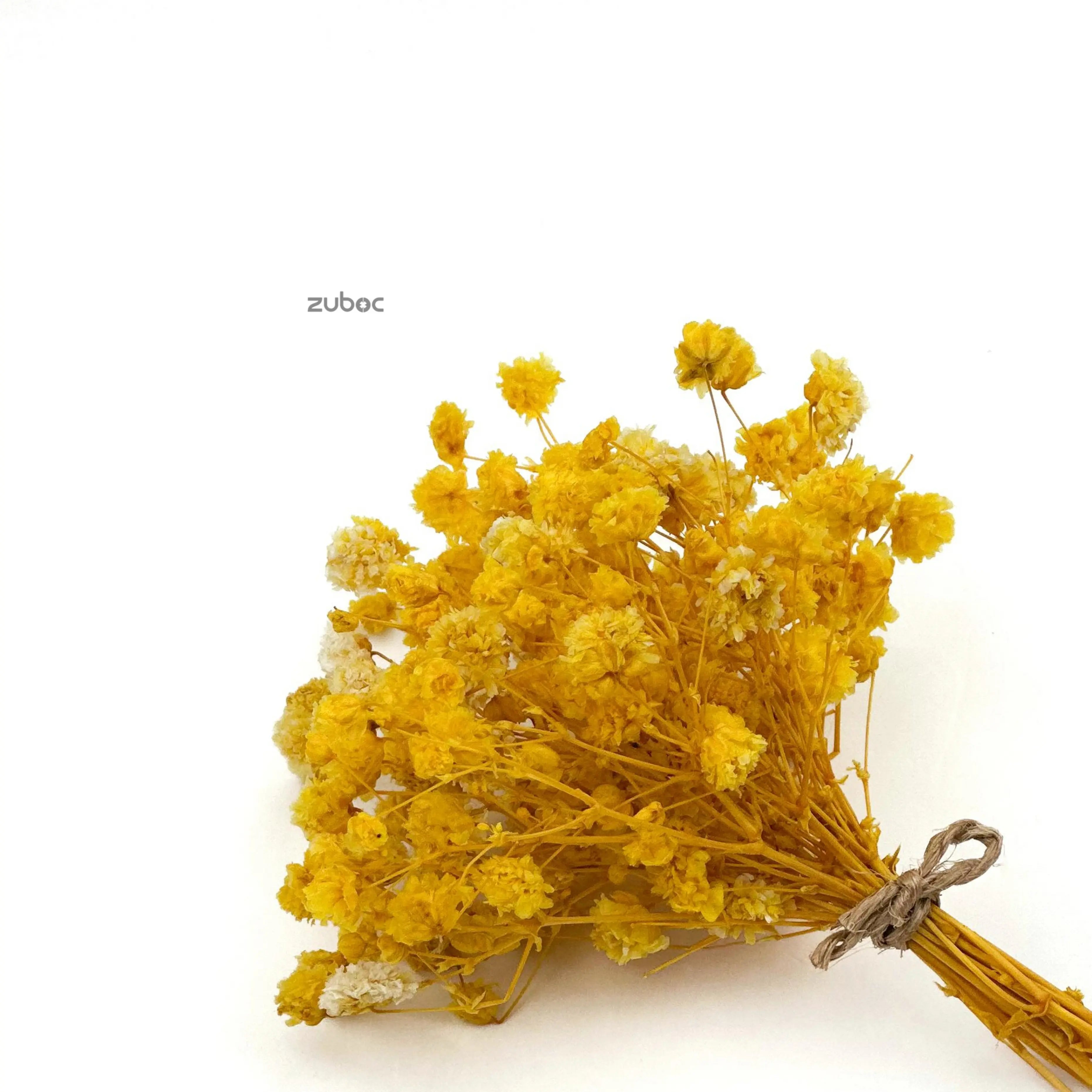 Yellow dry flower long side view for handmade cards