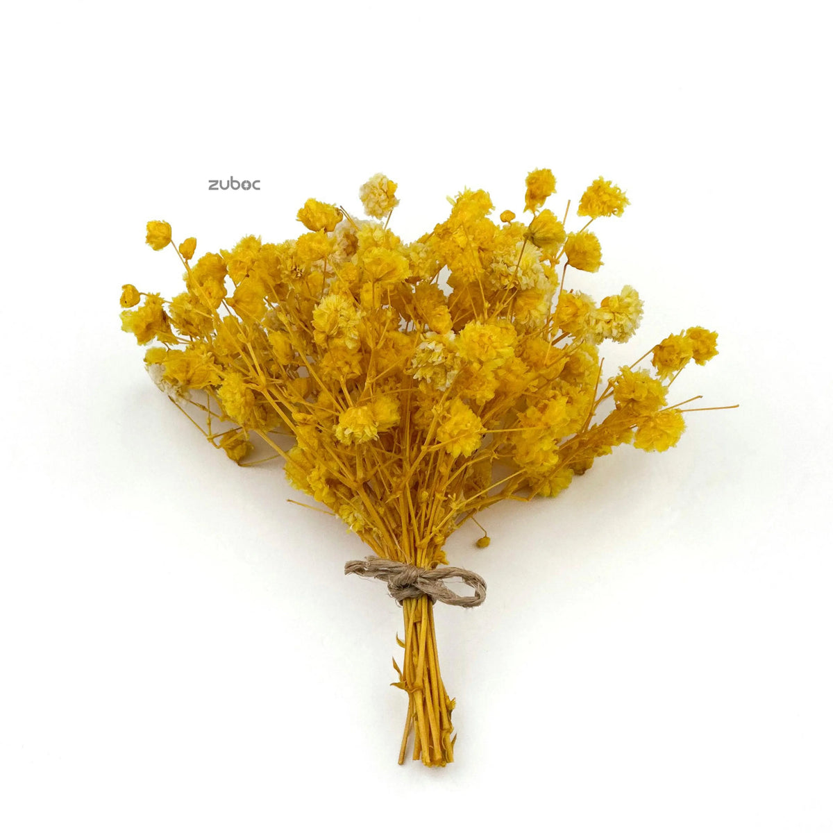 Baby’s Breath Dried Flower (Set Of 5)
