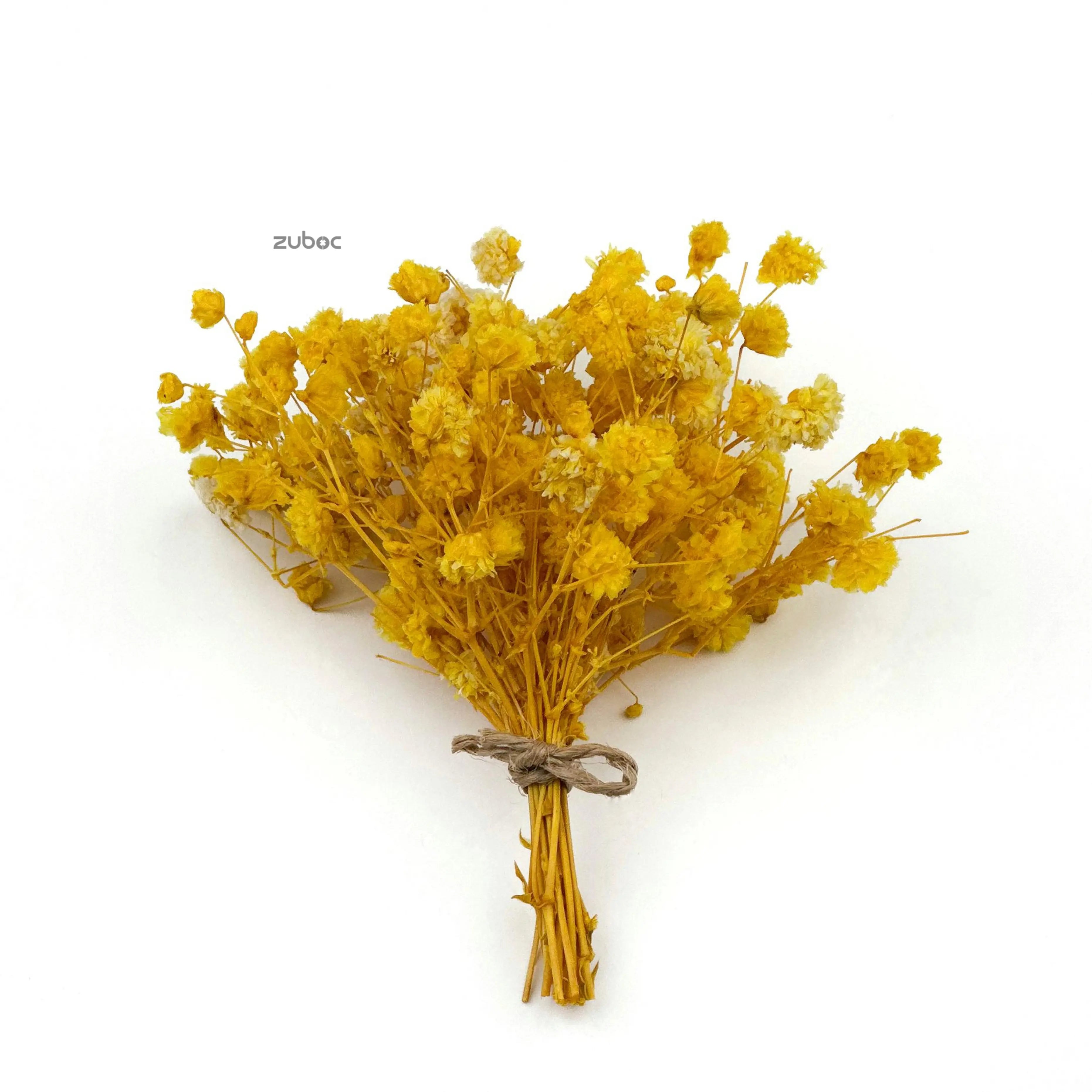 Yellow dry flower long front view for wedding crafts