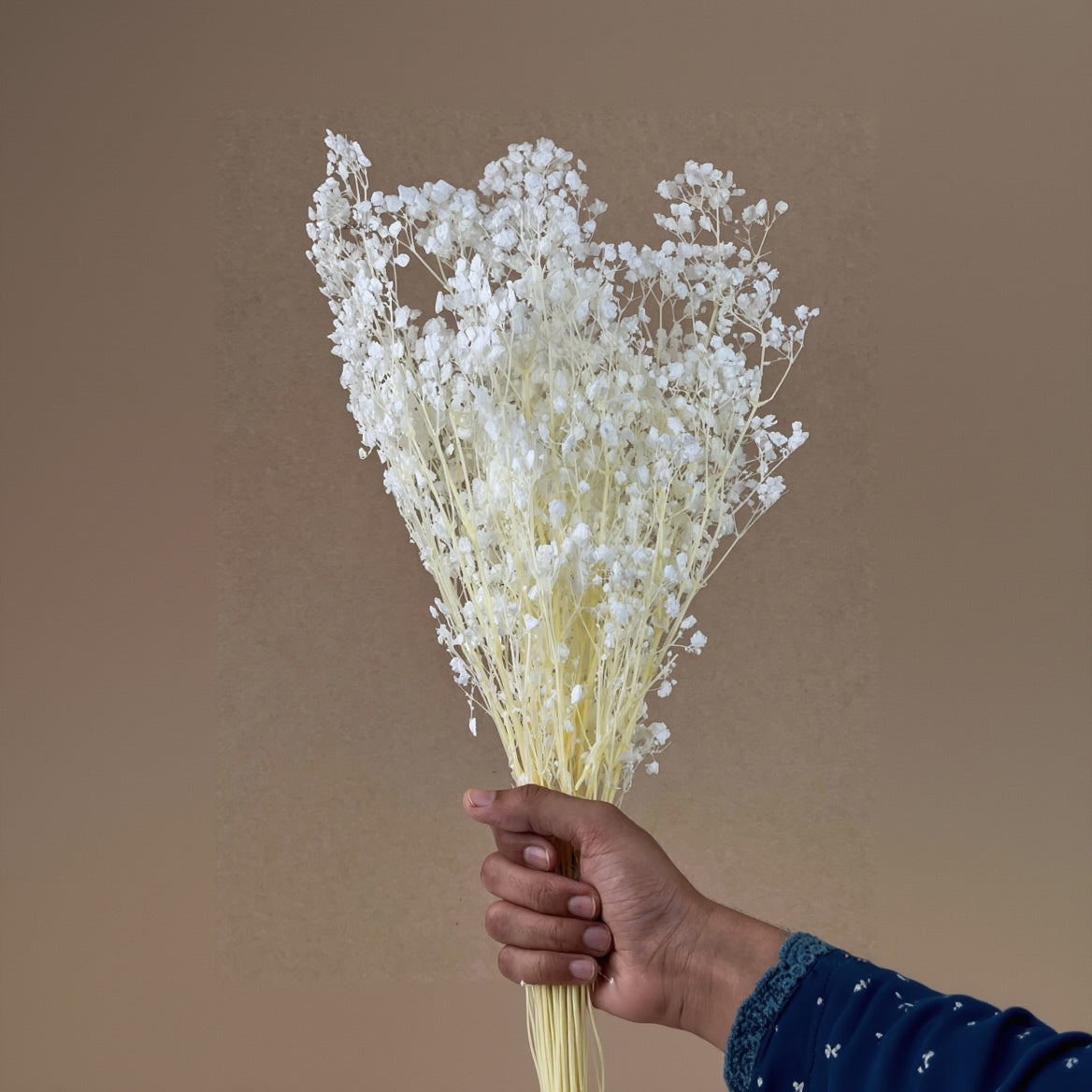 Baby’s Breath Dried Flower For home decor - 100g