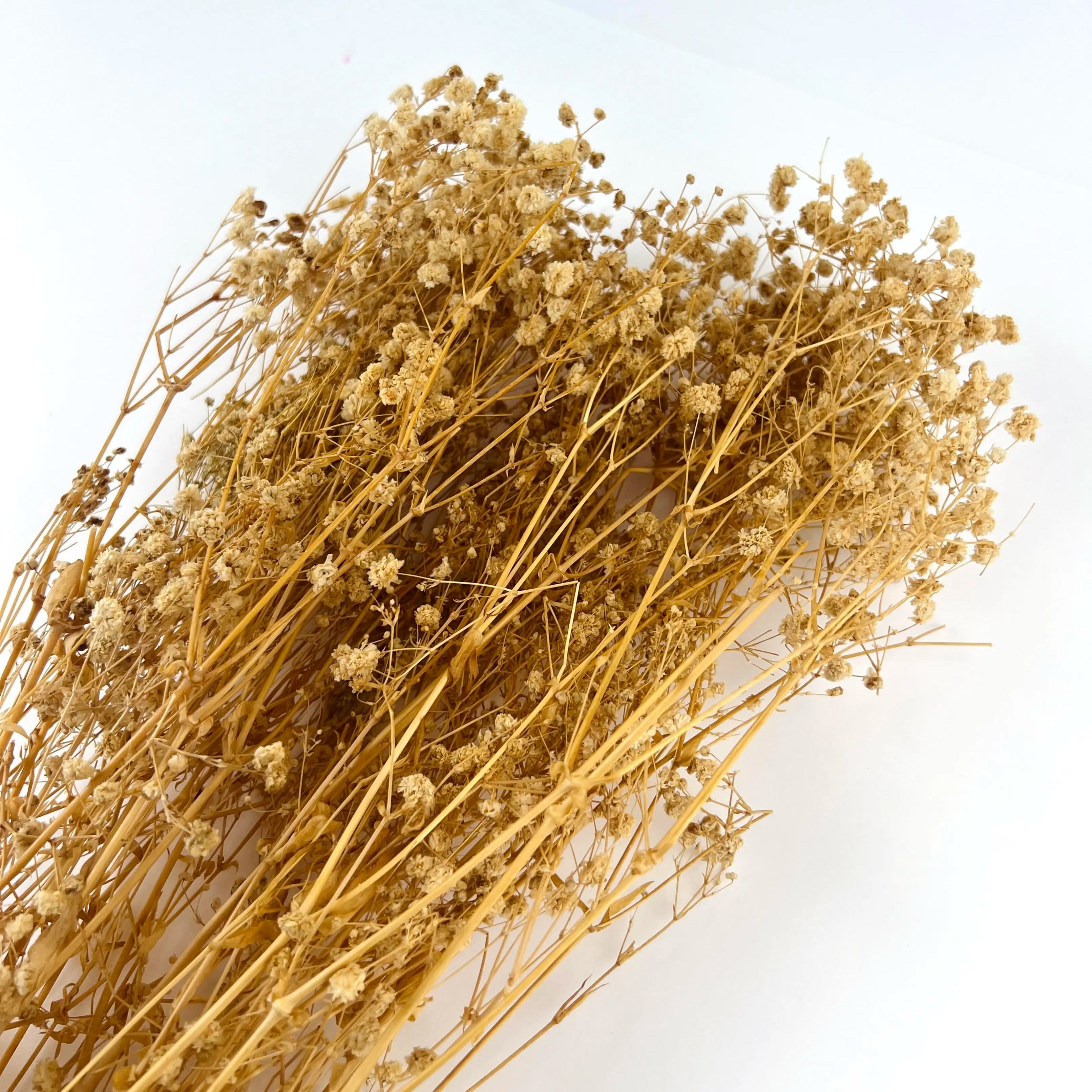 Baby’s Breath Dried Flower For home decor - 100g
