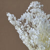 Baby’s Breath Dried Flower For home decor - 100g