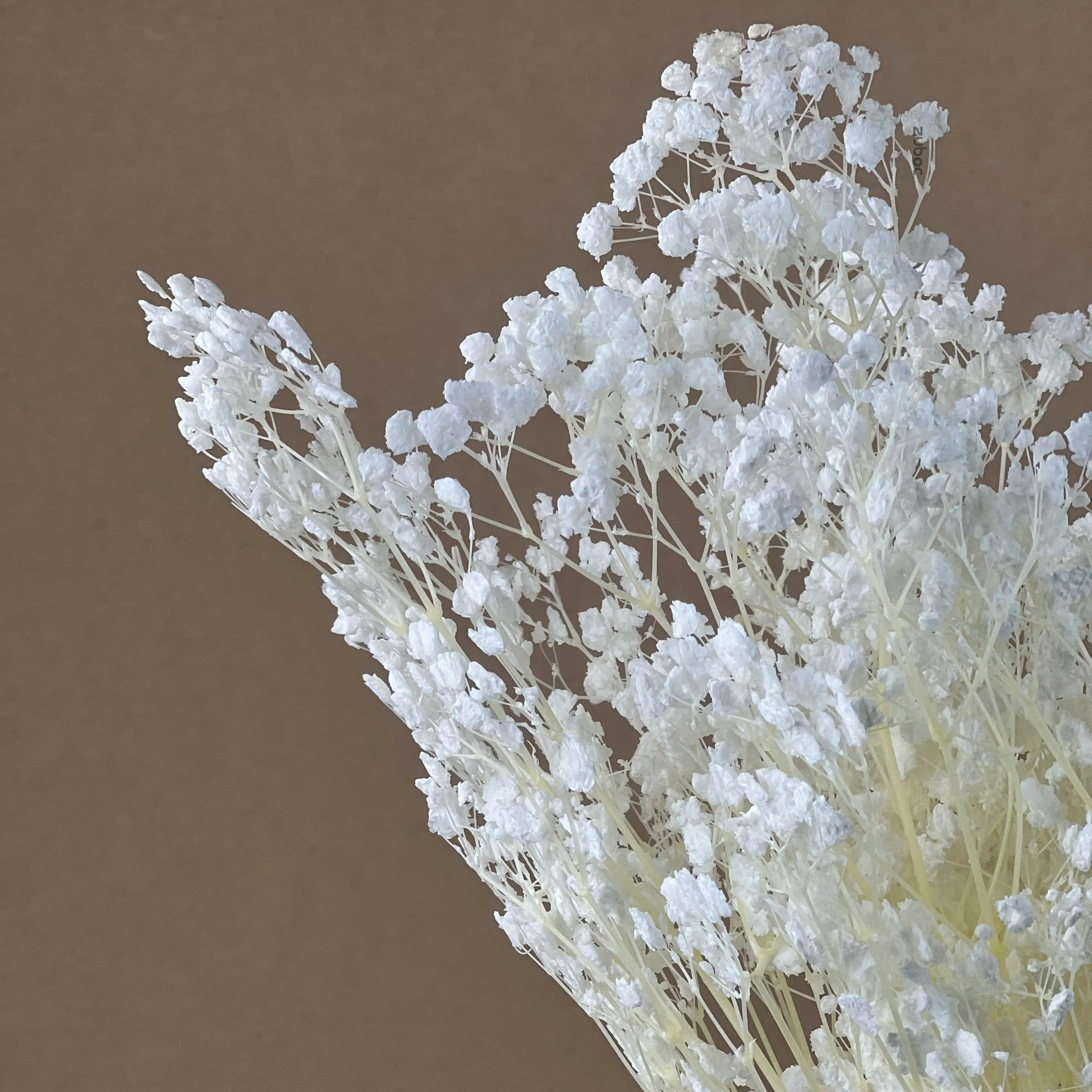 Baby’s Breath Dried Flower For home decor - 100g