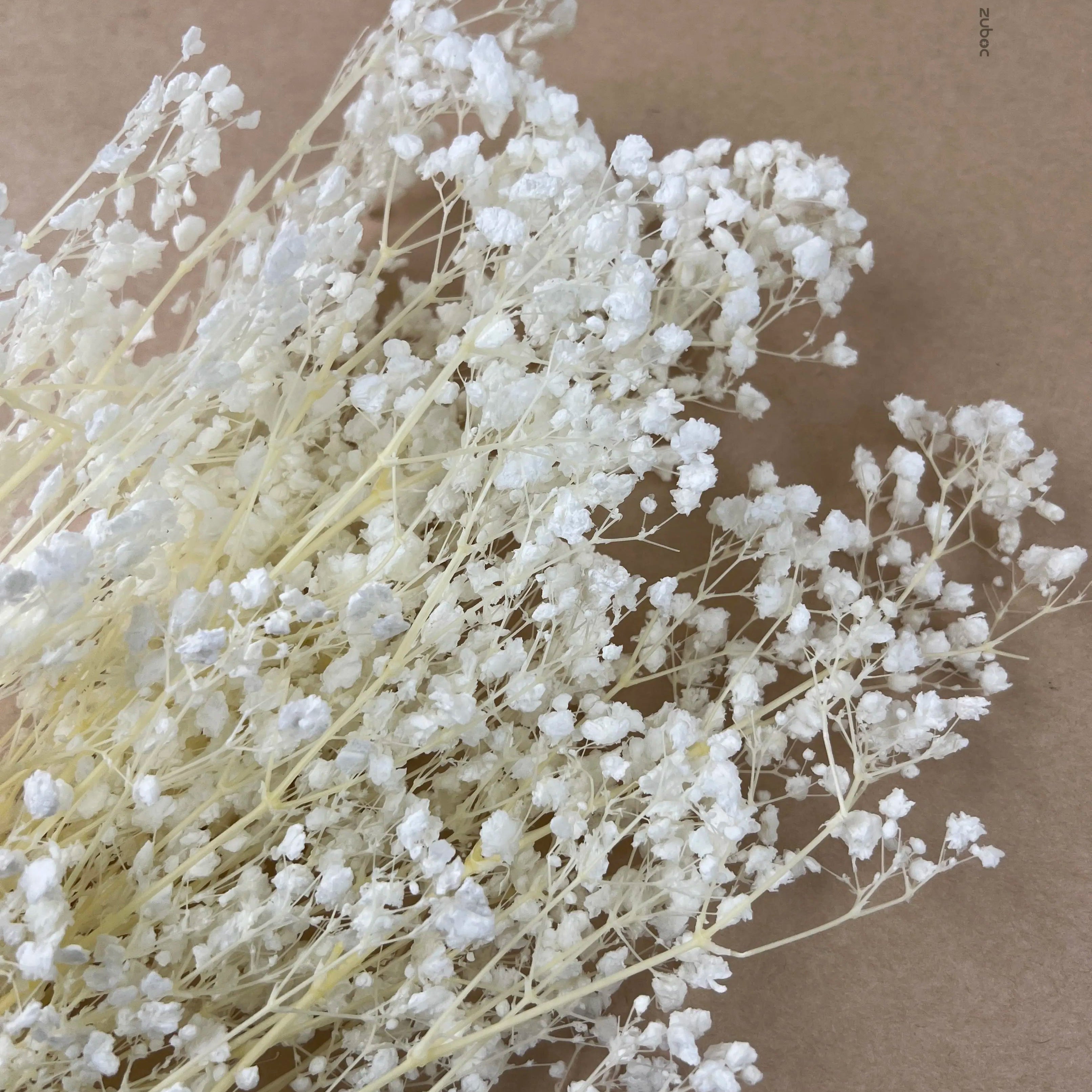 Baby’s Breath Dried Flower For home decor - 100g