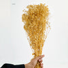 Baby’s Breath Dried Flower For home decor - 100g