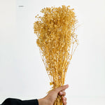 Baby’s Breath Dried Flower For home decor - 100g